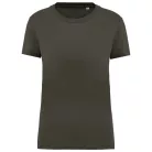Native Spirit NS324 LADIES' T-SHIRT XL