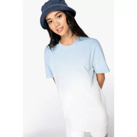 Native Spirit NS345 UNISEX ECO-FRIENDLY DIP DYE T-SHIRT XL