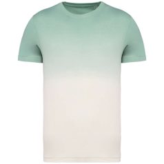 Native Spirit NS345 UNISEX ECO-FRIENDLY DIP DYE T-SHIRT 2XL