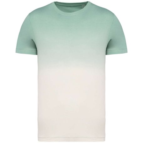 Native Spirit NS345 UNISEX ECO-FRIENDLY DIP DYE T-SHIRT 2XL