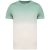Native Spirit NS345 UNISEX ECO-FRIENDLY DIP DYE T-SHIRT 2XL