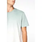 Native Spirit NS345 UNISEX ECO-FRIENDLY DIP DYE T-SHIRT 2XL