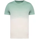 Native Spirit NS345 UNISEX ECO-FRIENDLY DIP DYE T-SHIRT L