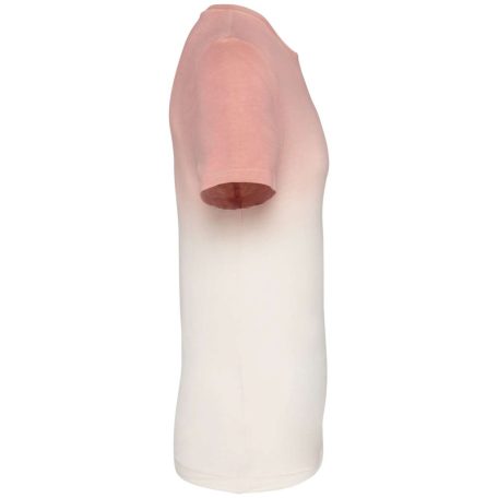 Native Spirit NS345 UNISEX ECO-FRIENDLY DIP DYE T-SHIRT 2XL