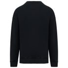 Native Spirit NS447 unisex vastag kereknyakú pulóver