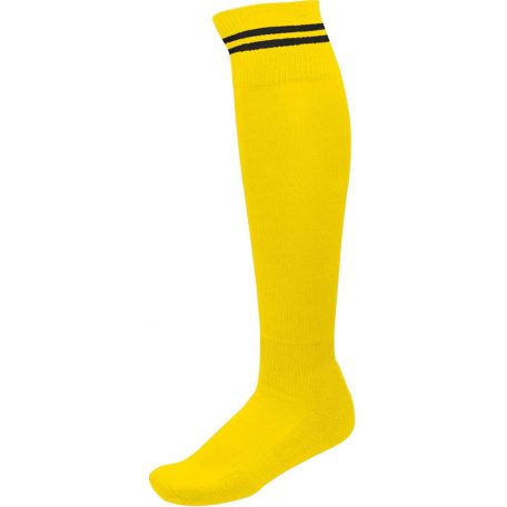 PA015 STRIPED SPORTS SOCKS