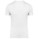 PA4011 TRIBLEND SPORTS T-SHIRT