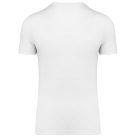 PA4011 TRIBLEND SPORTS T-SHIRT