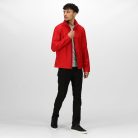 Regatta RETRA628 ABLAZE MEN'S PRINTABLE SOFTSHELL 3XL
