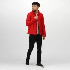 Regatta RETRA628 ABLAZE MEN'S PRINTABLE SOFTSHELL L