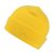 Regatta RETRC325 AXTON - CUFFED BEANIE U