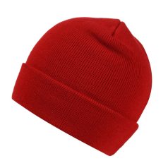 Regatta RETRC325 AXTON - CUFFED BEANIE U