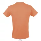 SOL'S REGENT uniszex kereknyakú póló